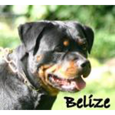 Precious Gems Belize